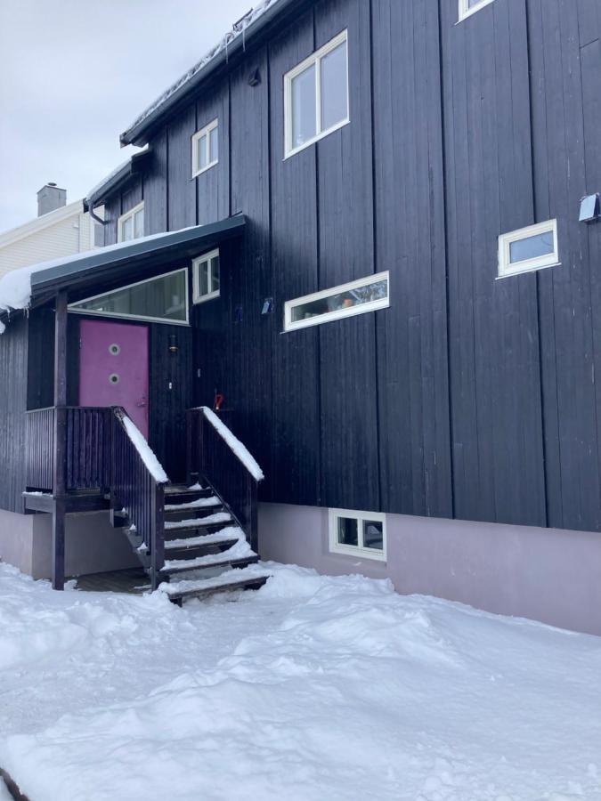 Hostel Auroras Friends *